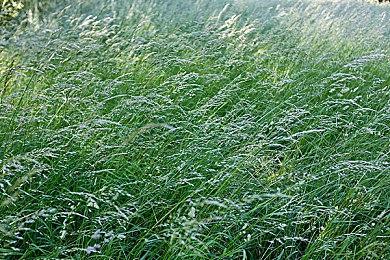 育碧要求《不羁联盟》开发团队必须增加玩家数量